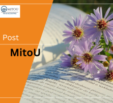 Bản tin chính sách thuế cần lưu ý kỳ tháng 7/2025- MitoU